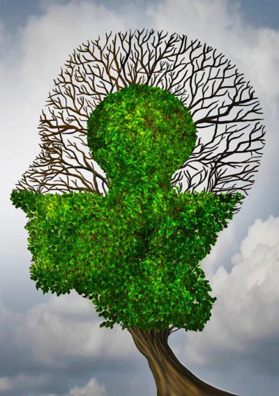 hoofd_overons 50924297 - perfect business partnership as a connecting puzzle shaped as two trees in the form of human heads connecting together to complete each other as a corporate success metaphor for cooperation and agreement as equal partners.