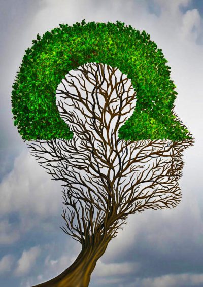 hoofd_wiewezijn 50924297 - perfect business partnership as a connecting puzzle shaped as two trees in the form of human heads connecting together to complete each other as a corporate success metaphor for cooperation and agreement as equal partners.